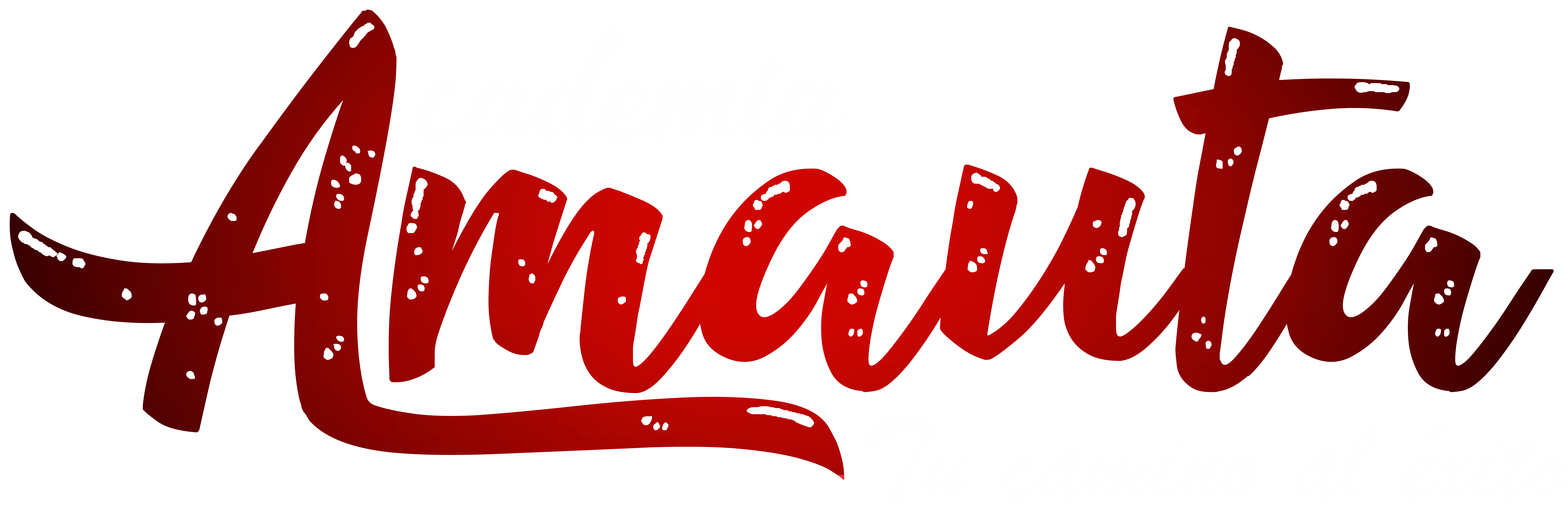 ACADEMIA VIRTUAL AMAUTA